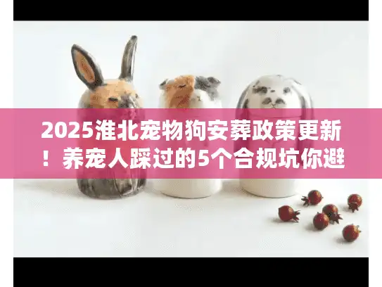 2025淮北宠物狗安葬政策更新！养宠人踩过的5个合规坑你避开了吗？