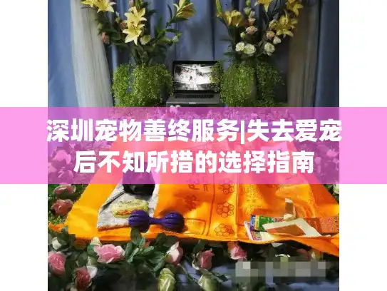 深圳宠物善终服务|失去爱宠后不知所措的选择指南