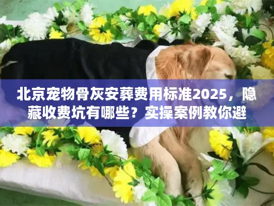 北京宠物骨灰安葬费用标准2025，隐藏收费坑有哪些？实操案例教你避坑