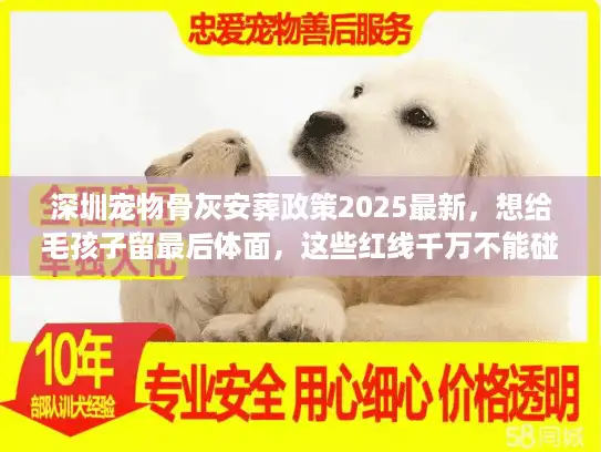 深圳宠物骨灰安葬政策2025最新，想给毛孩子留最后体面，这些红线千万不能碰？
