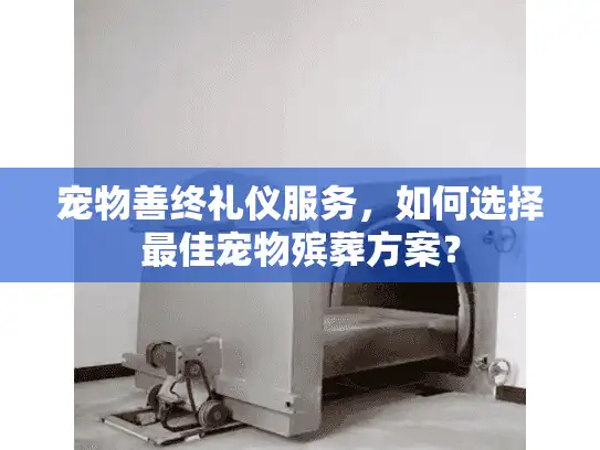 宠物善终礼仪服务，如何选择最佳宠物殡葬方案？