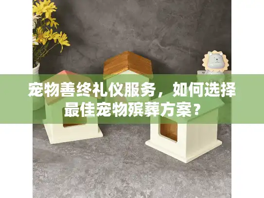 宠物善终礼仪服务，如何选择最佳宠物殡葬方案？