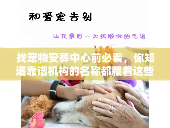 找宠物安葬中心前必看，你知道靠谱机构的名称都藏着这些门道吗？