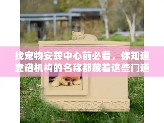 找宠物安葬中心前必看，你知道靠谱机构的名称都藏着这些门道吗？