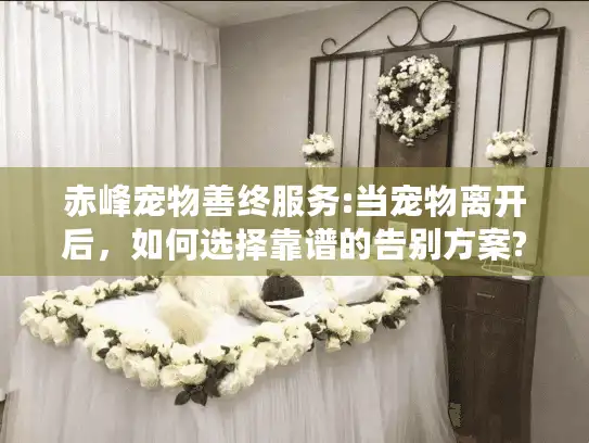 赤峰宠物善终服务:当宠物离开后，如何选择靠谱的告别方案?