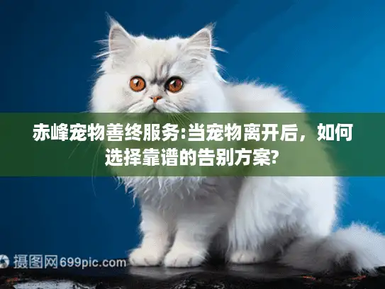 赤峰宠物善终服务:当宠物离开后，如何选择靠谱的告别方案?
