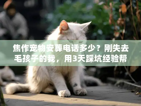 焦作宠物安葬电话多少？刚失去毛孩子的我，用3天踩坑经验帮你避雷