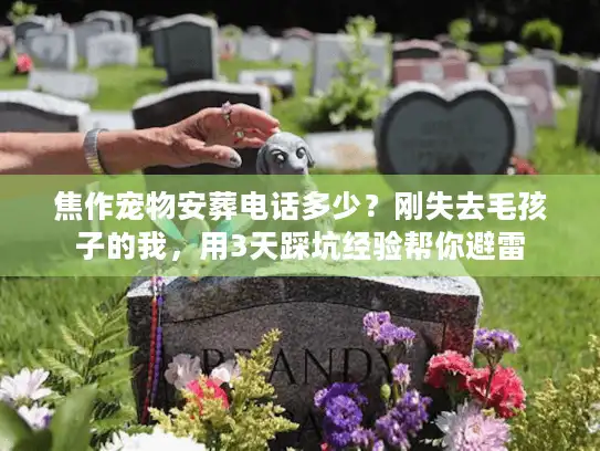 焦作宠物安葬电话多少？刚失去毛孩子的我，用3天踩坑经验帮你避雷