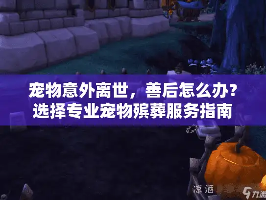 宠物意外离世，善后怎么办？选择专业宠物殡葬服务指南