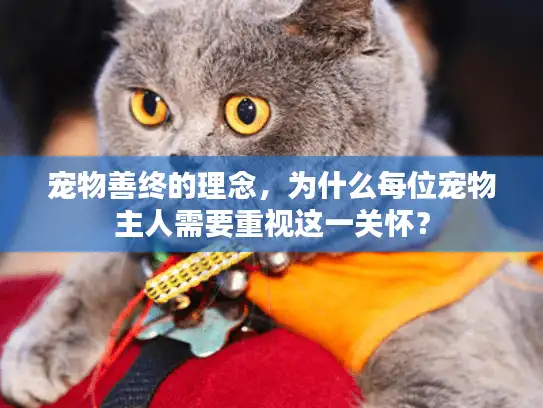 宠物善终的理念，为什么每位宠物主人需要重视这一关怀？