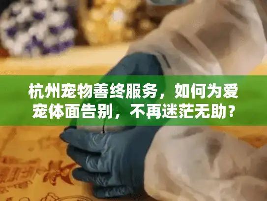 杭州宠物善终服务，如何为爱宠体面告别，不再迷茫无助？