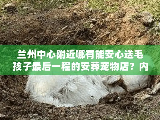 兰州中心附近哪有能安心送毛孩子最后一程的安葬宠物店？内行人带你避坑