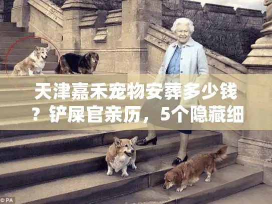 天津嘉禾宠物安葬多少钱？铲屎官亲历，5个隐藏细节帮你算清真实成本