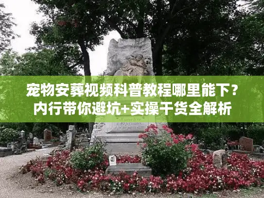 宠物安葬视频科普教程哪里能下？内行带你避坑+实操干货全解析
