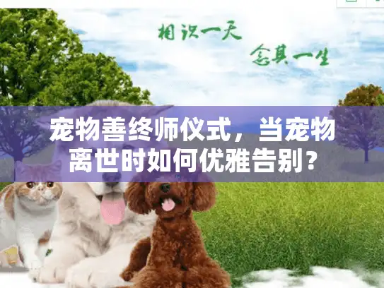 宠物善终师仪式，当宠物离世时如何优雅告别？