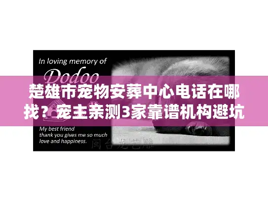 楚雄市宠物安葬中心电话在哪找？宠主亲测3家靠谱机构避坑指南