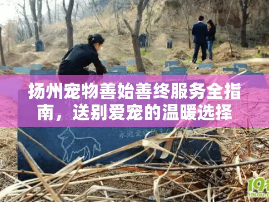 扬州宠物善始善终服务全指南，送别爱宠的温暖选择