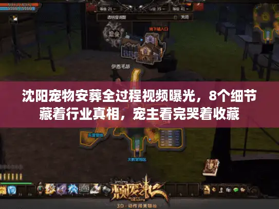沈阳宠物安葬全过程视频曝光，8个细节藏着行业真相，宠主看完哭着收藏