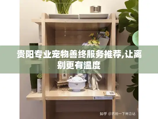 贵阳专业宠物善终服务推荐,让离别更有温度