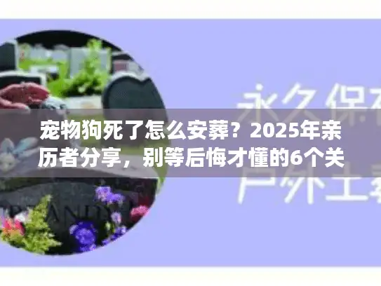 宠物狗死了怎么安葬？2025年亲历者分享，别等后悔才懂的6个关键选择