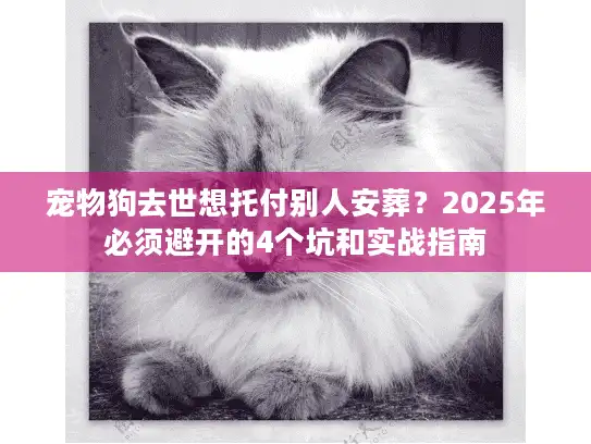 宠物狗去世想托付别人安葬？2025年必须避开的4个坑和实战指南