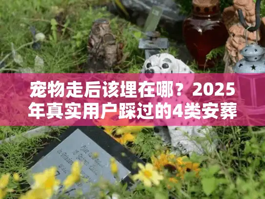 宠物走后该埋在哪？2025年真实用户踩过的4类安葬地坑与靠谱选择全解析