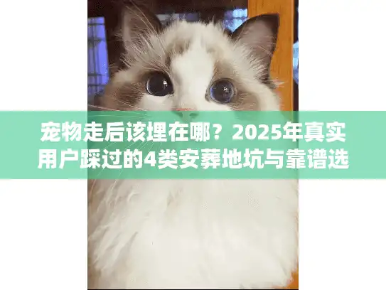 宠物走后该埋在哪？2025年真实用户踩过的4类安葬地坑与靠谱选择全解析