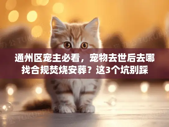 通州区宠主必看，宠物去世后去哪找合规焚烧安葬？这3个坑别踩