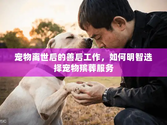 宠物离世后的善后工作，如何明智选择宠物殡葬服务