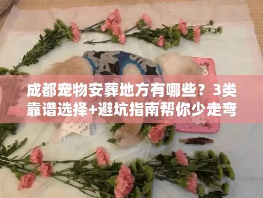 成都宠物安葬地方有哪些？3类靠谱选择+避坑指南帮你少走弯路