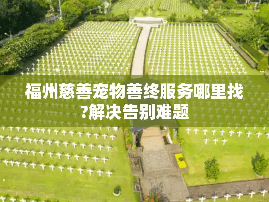 福州慈善宠物善终服务哪里找?解决告别难题