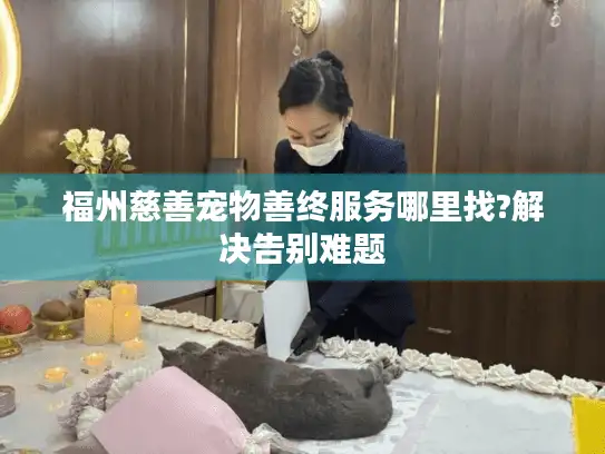 福州慈善宠物善终服务哪里找?解决告别难题