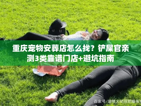 重庆宠物安葬店怎么找？铲屎官亲测3类靠谱门店+避坑指南