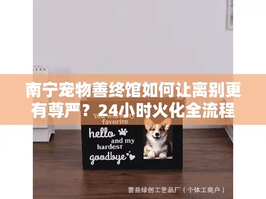 南宁宠物善终馆如何让离别更有尊严？24小时火化全流程解析