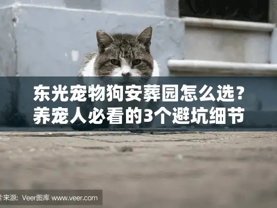 东光宠物狗安葬园怎么选？养宠人必看的3个避坑细节+1个暖心案例