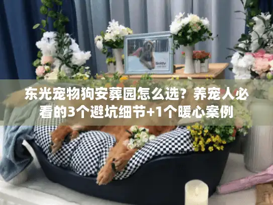 东光宠物狗安葬园怎么选？养宠人必看的3个避坑细节+1个暖心案例
