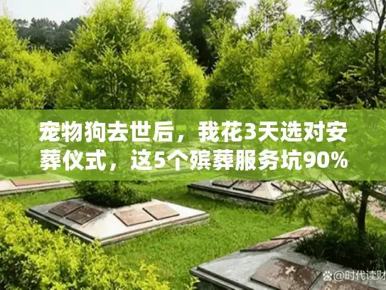 宠物狗去世后，我花3天选对安葬仪式，这5个殡葬服务坑90%主人都踩过