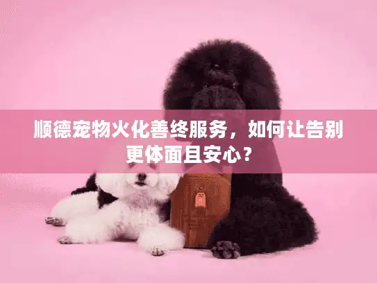 顺德宠物火化善终服务，如何让告别更体面且安心？