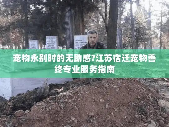 宠物永别时的无助感?江苏宿迁宠物善终专业服务指南