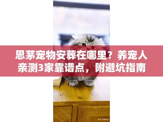 思茅宠物安葬在哪里？养宠人亲测3家靠谱点，附避坑指南