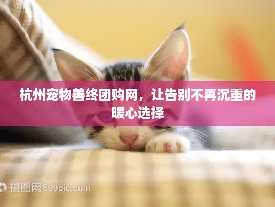 杭州宠物善终团购网，让告别不再沉重的暖心选择