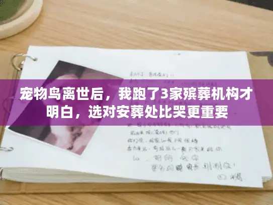 宠物鸟离世后，我跑了3家殡葬机构才明白，选对安葬处比哭更重要