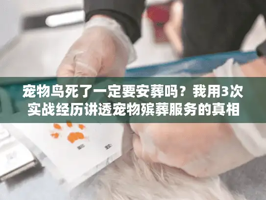 宠物鸟死了一定要安葬吗？我用3次实战经历讲透宠物殡葬服务的真相