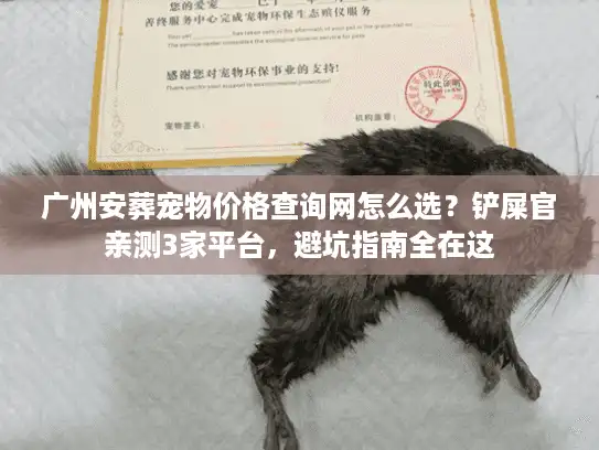 广州安葬宠物价格查询网怎么选？铲屎官亲测3家平台，避坑指南全在这