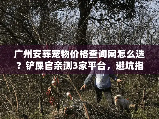 广州安葬宠物价格查询网怎么选？铲屎官亲测3家平台，避坑指南全在这