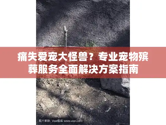 痛失爱宠大怪兽？专业宠物殡葬服务全面解决方案指南
