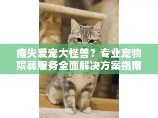 痛失爱宠大怪兽？专业宠物殡葬服务全面解决方案指南