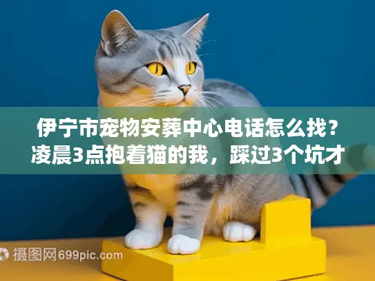 伊宁市宠物安葬中心电话怎么找？凌晨3点抱着猫的我，踩过3个坑才摸到靠谱门路
