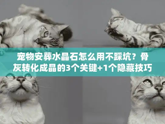 宠物安葬水晶石怎么用不踩坑？骨灰转化成晶的3个关键+1个隐藏技巧