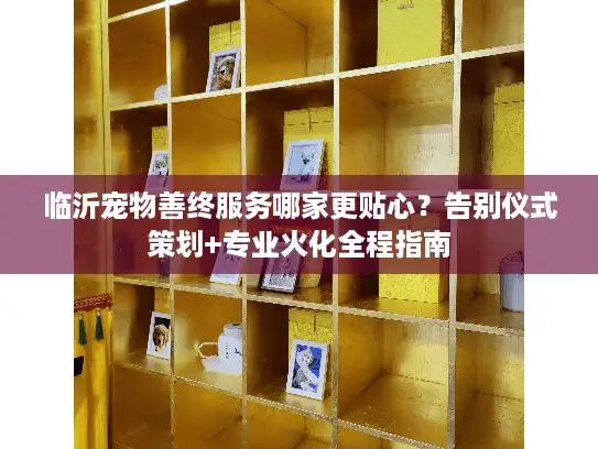 临沂宠物善终服务哪家更贴心？告别仪式策划+专业火化全程指南